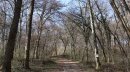 Bois de Varquemont
